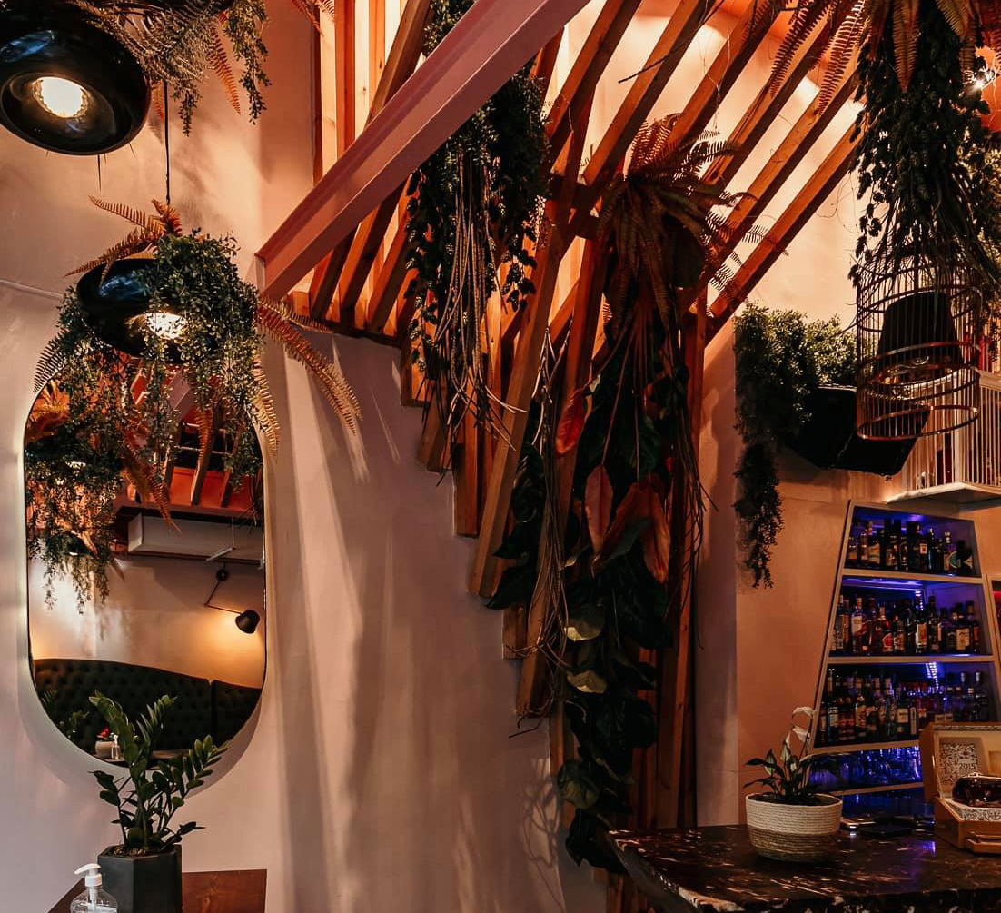 Shelter Wine & Cocktail Bar
